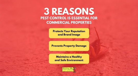 3 Reasons Pest Control is essential for commercial properties